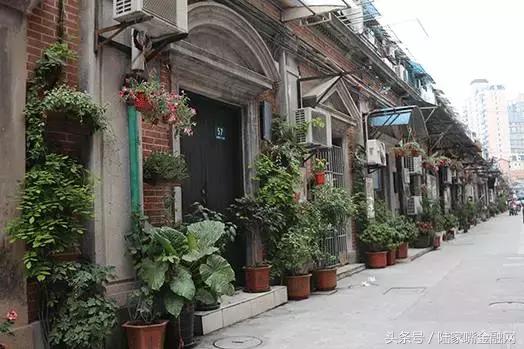 重磅！“人文之虹口岸之城”强势来袭！