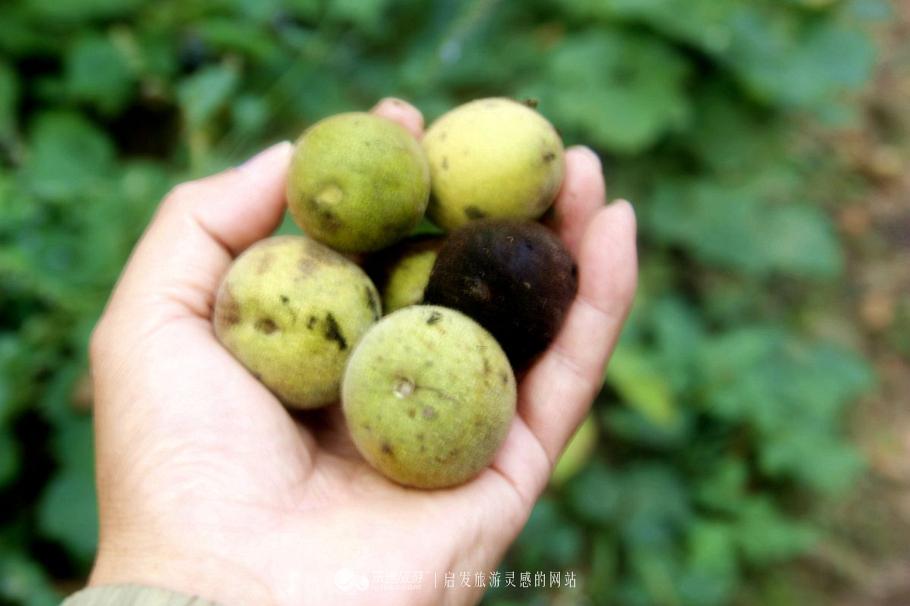 水秀山青下一句,农庄山清水秀的好地方