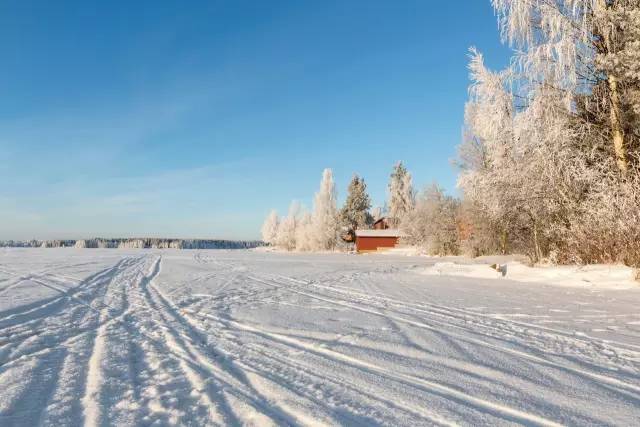 真力音箱g系列 (真力音箱深灰色)