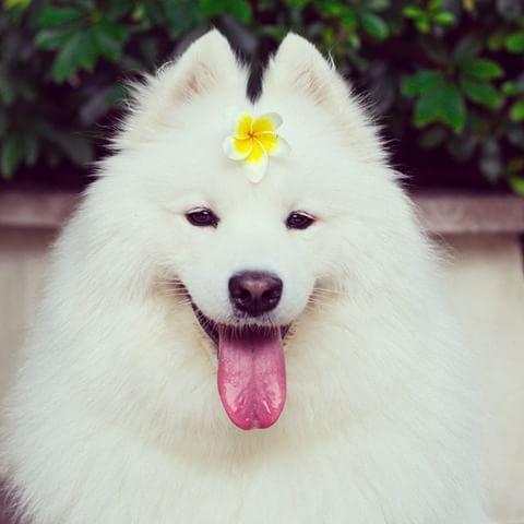 闲鱼app拍卖入口新版,闲鱼app交易规则