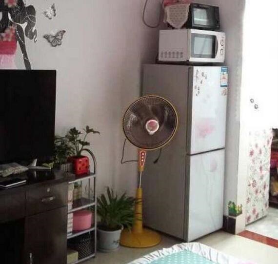 一家三口在深圳租房日常,一家五口在深圳租房三房二厅