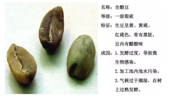 咖啡恶心干呕,喝了咖啡恶心想吐解决办法