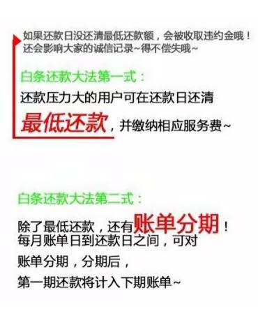 白条账单可以修改吗,白条账单日修改权益怎么使用