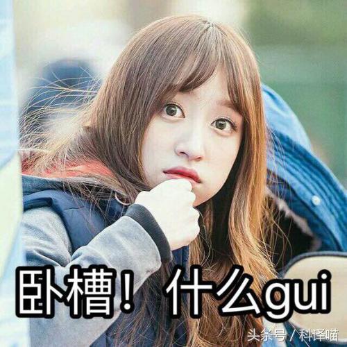 你认识百灵鸟吗,会说话的百灵鸟