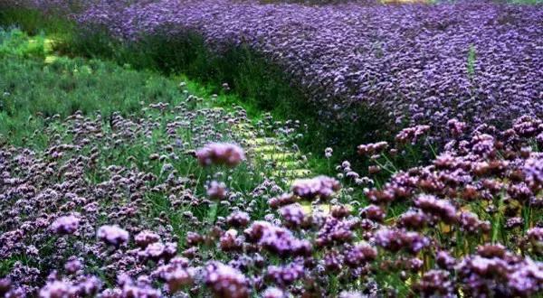 贵州方言笑死人的句子,贵州方言笑死人了