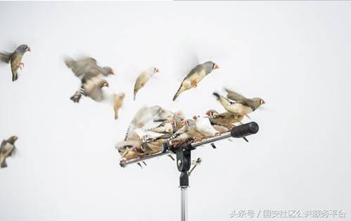 上海国庆出游攻略自驾,9月上海自驾游推荐