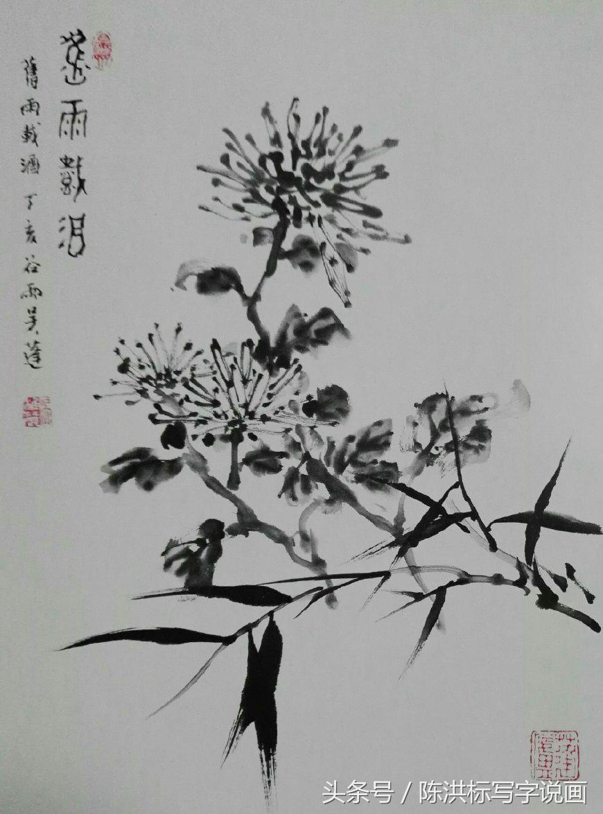 国画水墨菊花的画法和步骤,名家画菊花的技法