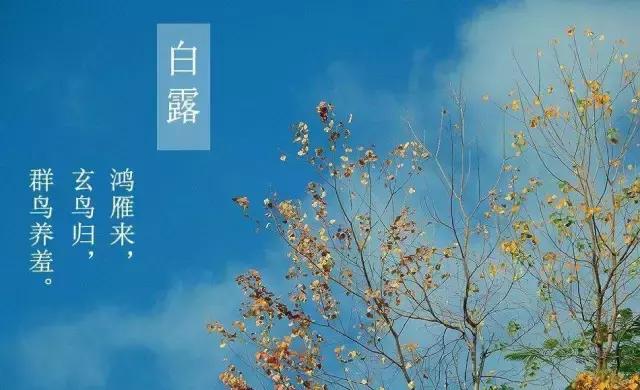 今日“白露”，为了健康，南安人应该怎么做？（附视频）