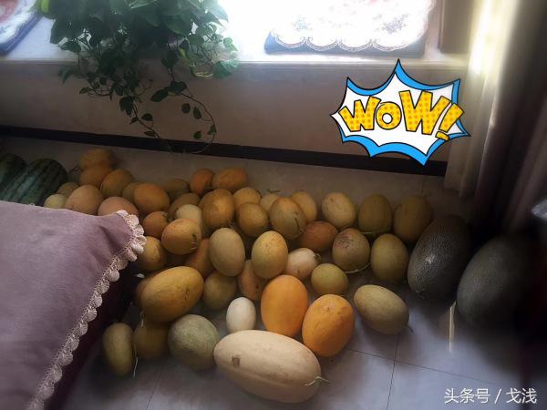 北方买菜vs南方买菜,南方北方买菜差异图片