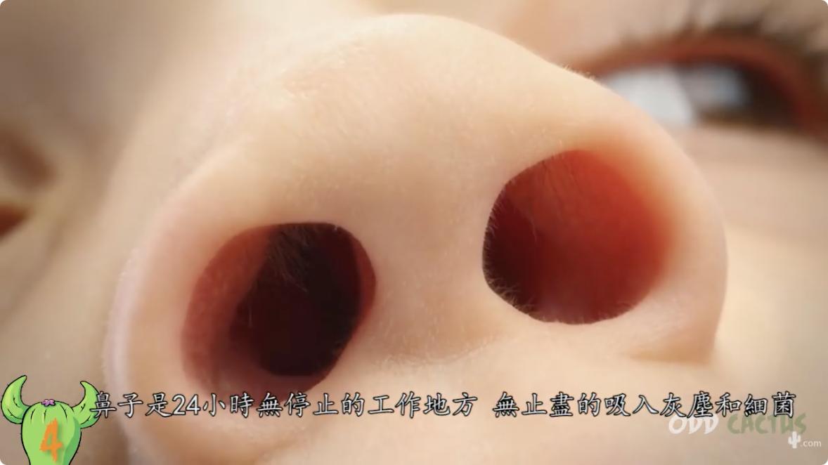 人体最脏的部位对身体的好处,人体最脏的十大部位是哪