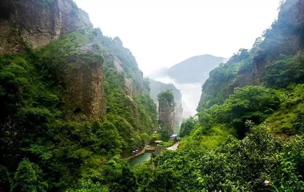 国内礼金排行榜,份子钱最多的是哪个地方