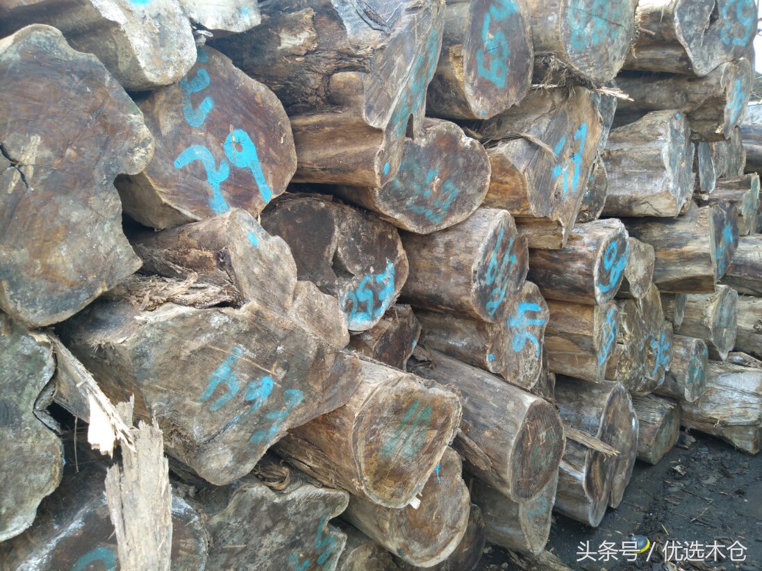 美洲胡桃木和红木家具,木材南美柚木