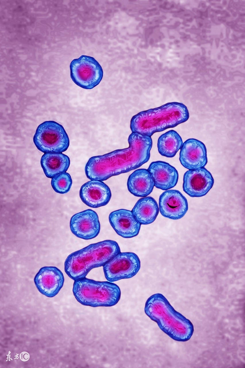 妊娠病毒性肝炎对胎儿的影响,孕期感染乙肝又自愈了