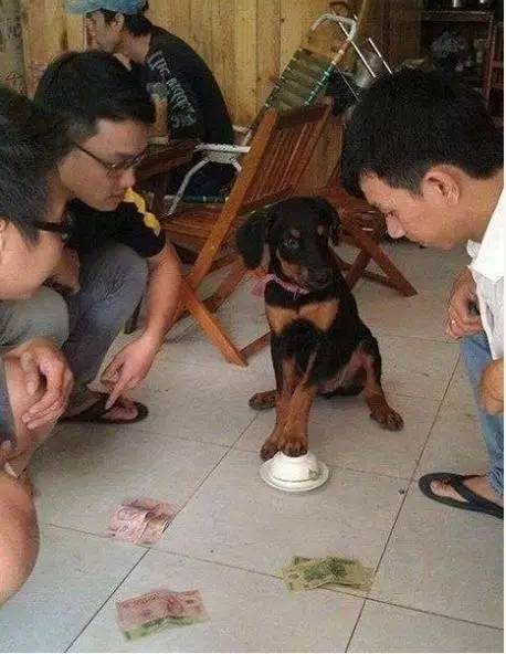 大哥出场的搞笑段子,大哥搞笑段子