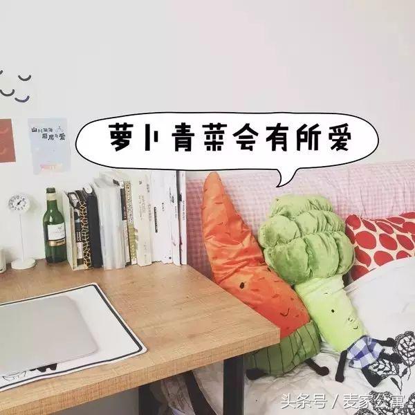 单身独居女青年,必备租房布置攻略