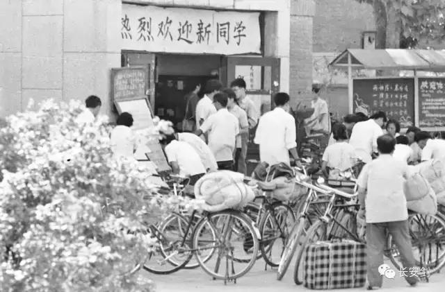 那个纯真的年代完整,《那个纯真的年代》