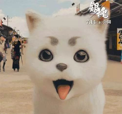 银魂真人日配版,银魂真人版部分