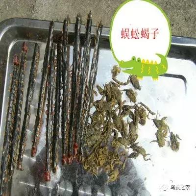 画眉饲料配方制作比例,土画眉饲料配方营养含量