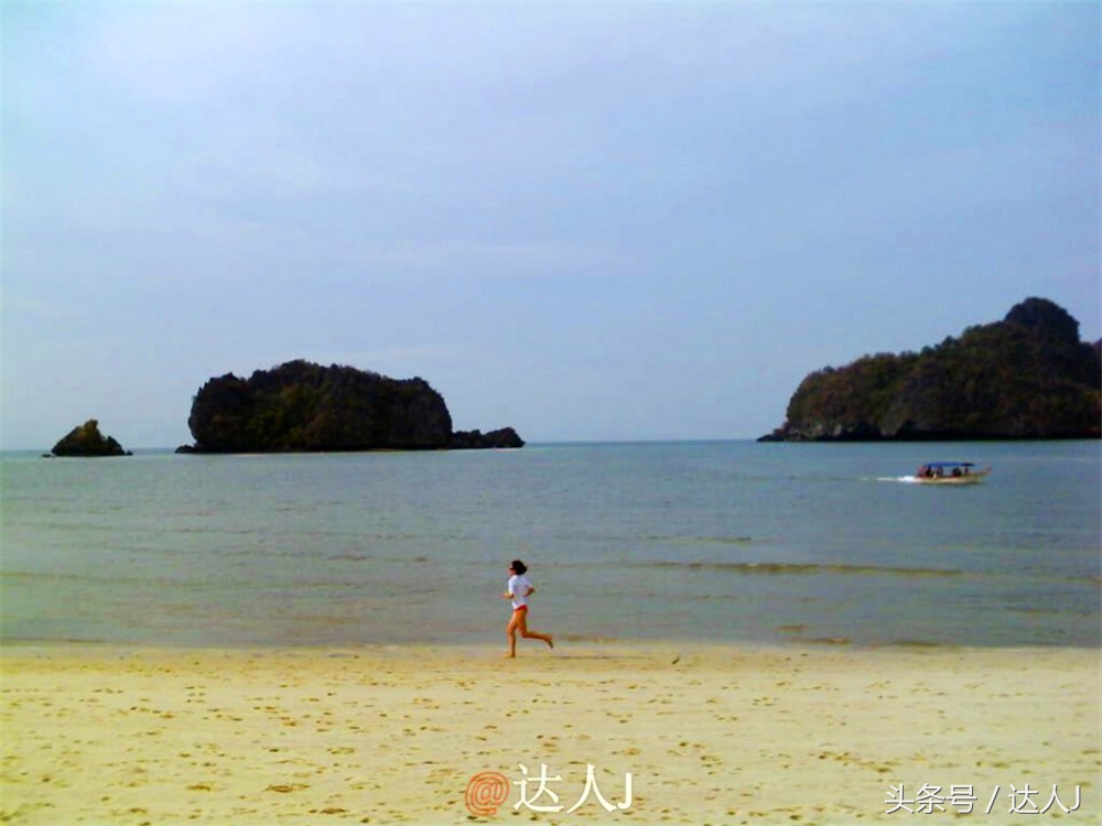 达人J：新马声色任逍遥