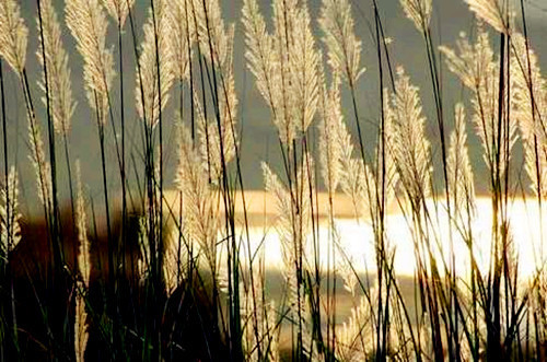9月8日穿衣指南今日运势,9月7日穿衣指南今日运势