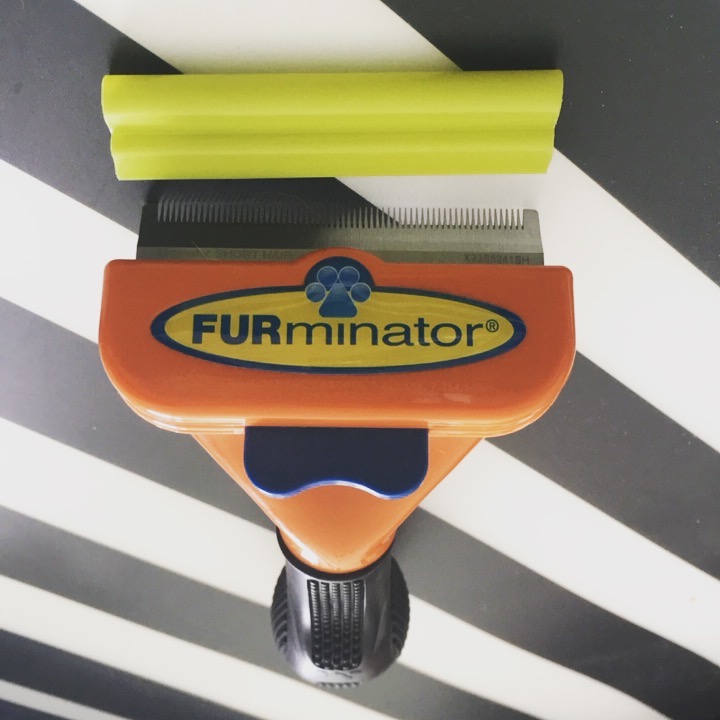 养宠物家庭必备神器,适合养宠物的家居用品