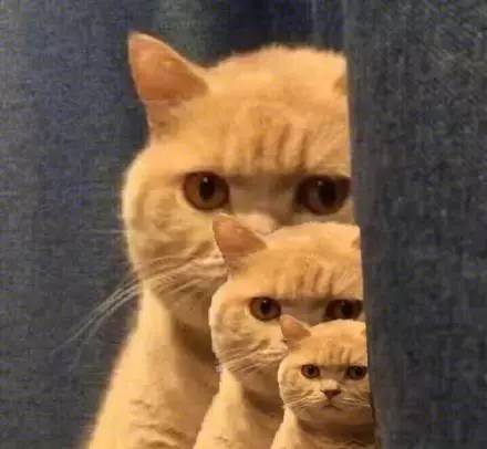 石家庄99%人的上班状态，最后一个说到心坎里了！