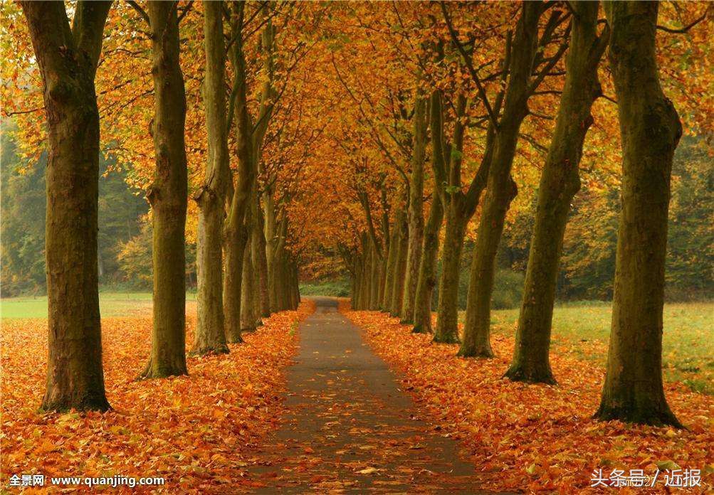 如何预防咳嗽秋天发作,秋季咳嗽有痰老是不好