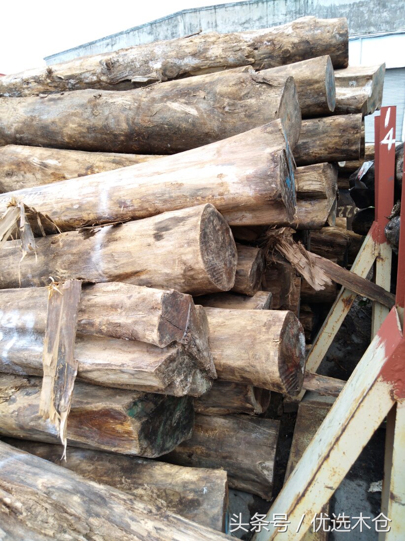 美洲胡桃木和红木家具,木材南美柚木