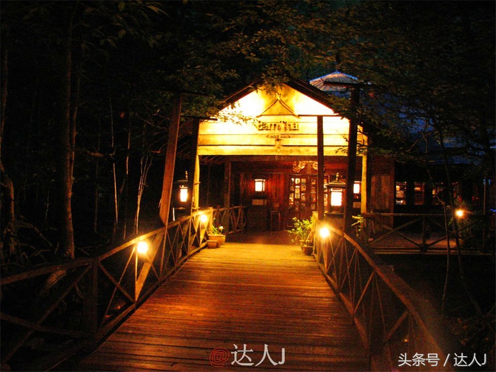 达人J:新马声色任逍遥