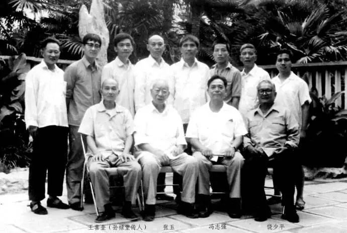 杨氏太极拳领军人物,武术高手盖世功夫