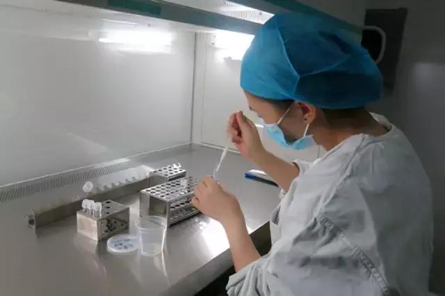 太神奇！生殖医学博士揭秘试管婴儿全过程！