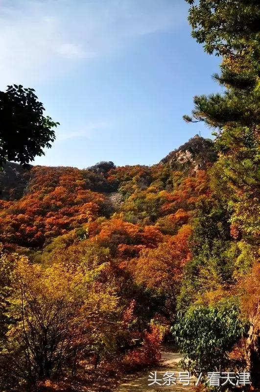 天津变化史,天津近十年变化对比图