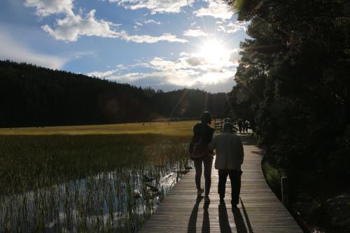 老人的养老金从哪儿来,老年人养老金从哪来