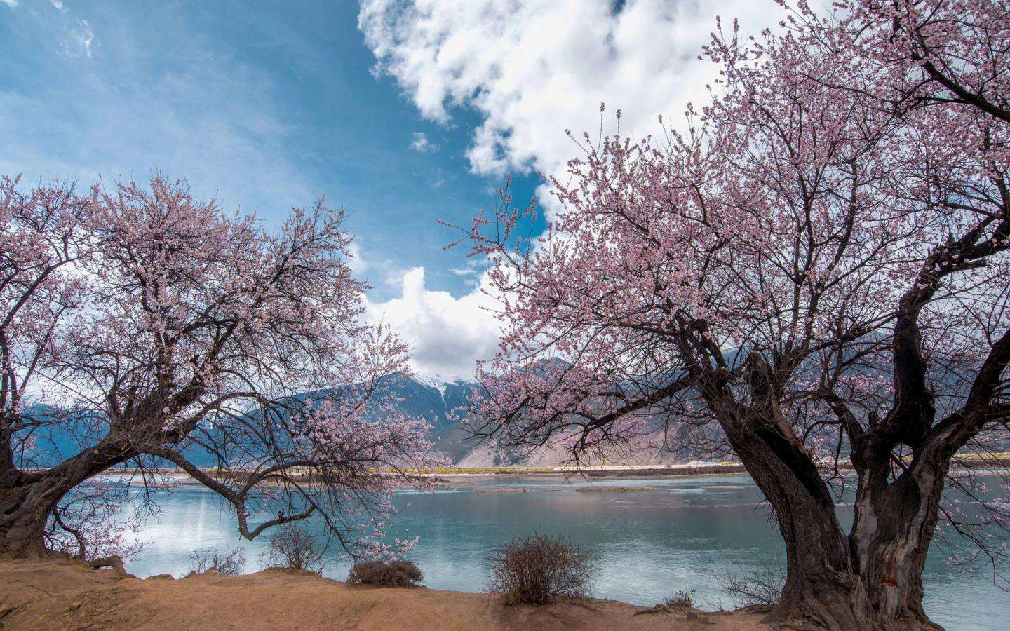 怎样跟重要客户邀约,一直邀约不过来的客户怎么邀约