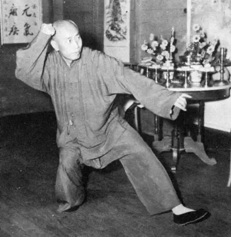 杨氏太极拳领军人物,武术高手盖世功夫