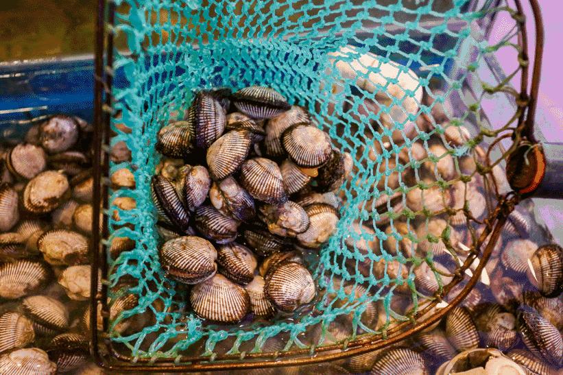 天津开海了一大波新鲜海鲜已上市,天津开海后的第一波海鲜