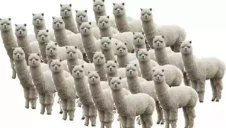 榆林妇产医院生孩子怎么样,生小孩麻醉针打了现腰疼怎样疗养