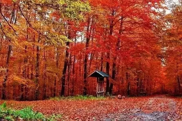 夏季沈阳周边自驾游路线推荐,沈阳周边30个最佳自驾好去处