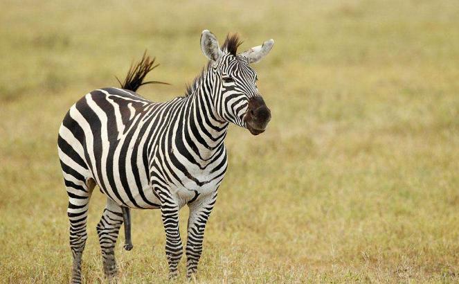 地球从来就不缺少神秘——关于地球上的10种自然谜团