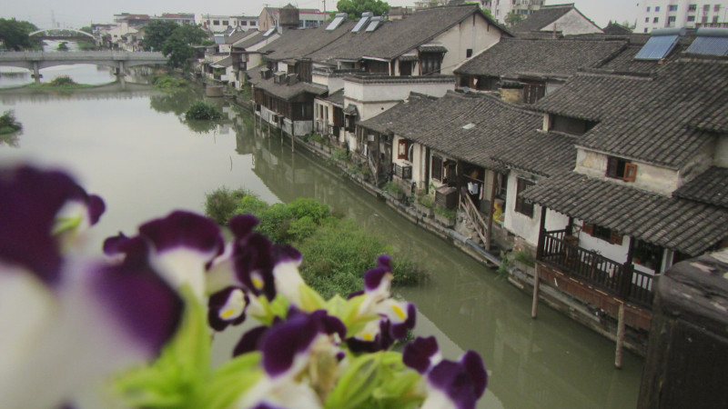 苏州西塘乌镇二日游团从杭州出发,苏州西塘乌镇二日一夜