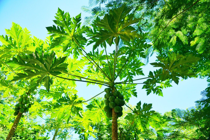 国庆节都快出去旅游吧,国庆快到了有没有一起旅游的