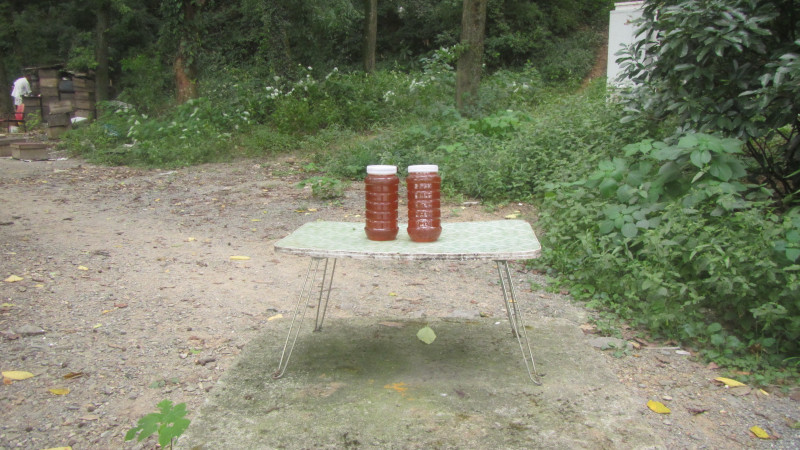 苏州西塘乌镇二日游团从杭州出发,苏州西塘乌镇二日一夜