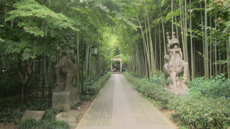 苏州西塘乌镇二日游团从杭州出发,苏州西塘乌镇二日一夜