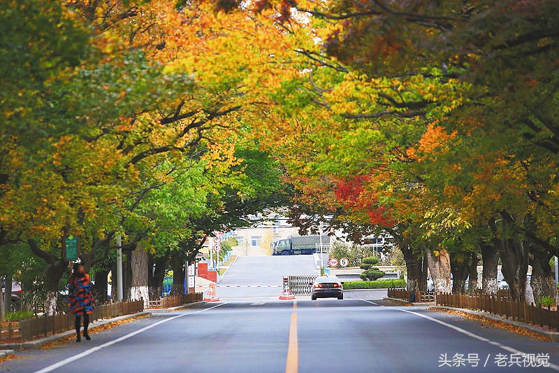 大连的秋天,大连附近秋天值得去的城市
