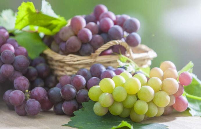 鼻梁两侧黑色素像斑怎么回事,鼻梁黑色素沉淀有什么偏方去除