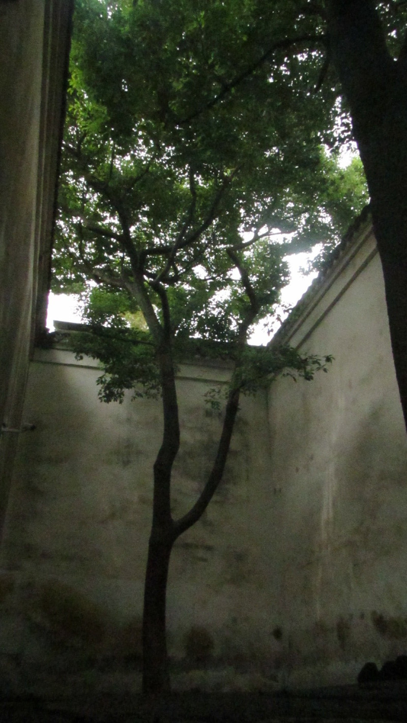 苏州西塘乌镇二日游团从杭州出发,苏州西塘乌镇二日一夜