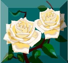 office2010图片裁剪,office2010的操作界面图片