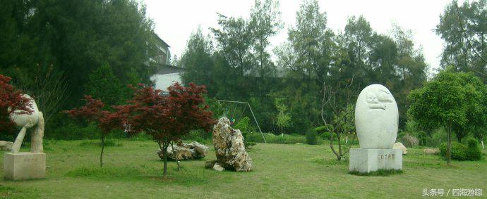 浙江玉环漩门湾国家湿地公园灯光,浙江玉环漩门湾湿地公园拍鸟