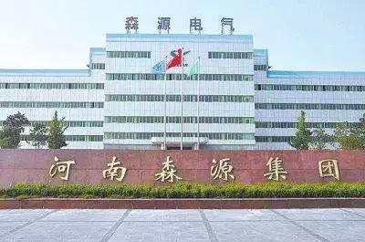 2021年森源入围名单,许昌森源集团有限公司年收入