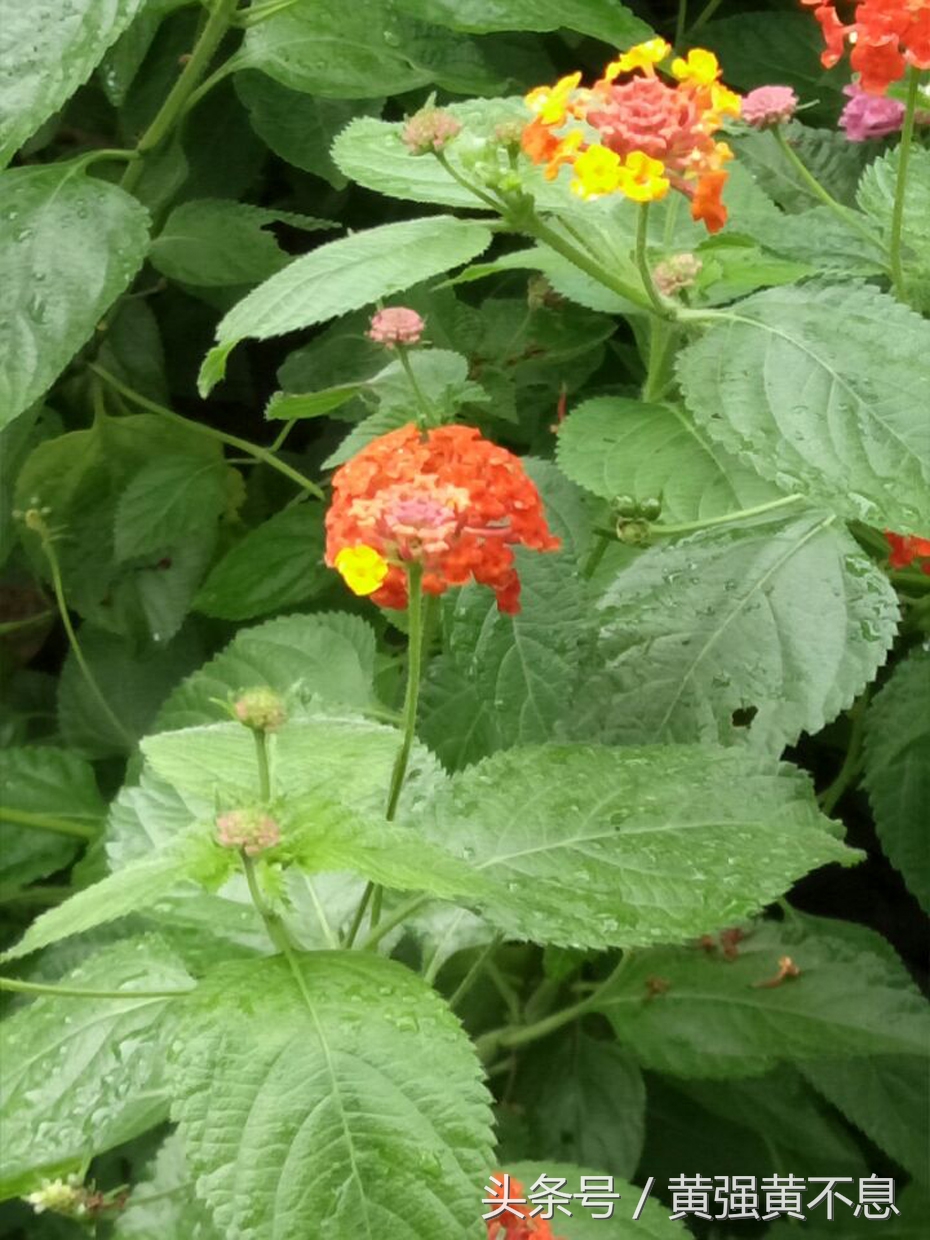 留住文化的美,留住文化的根与魂